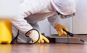 Best Pest Prevention Services  in Coppell, TX